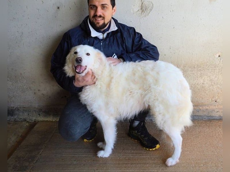 Wania - Zur falschen Zeit am falschen Ort...