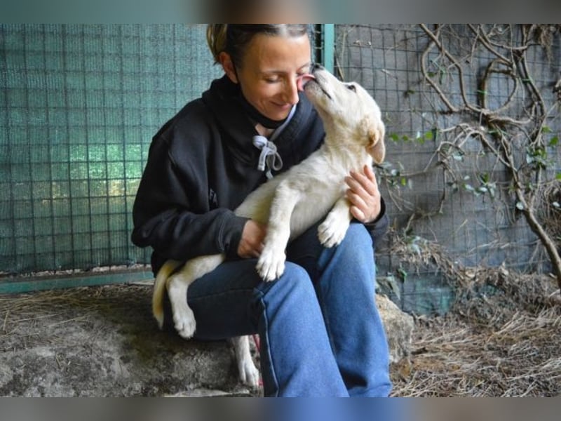 Admeto - Nur ein Wunsch: endlich nach Hause!