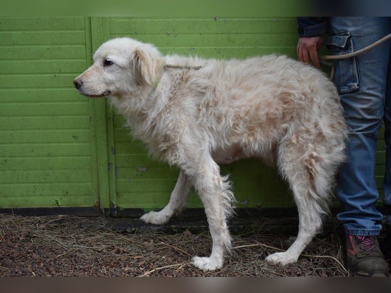 Graciela - NOTFALL - Was hatte sie schon...