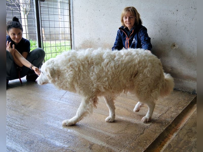 Volturno - Alles was es braucht, ist eine Chance