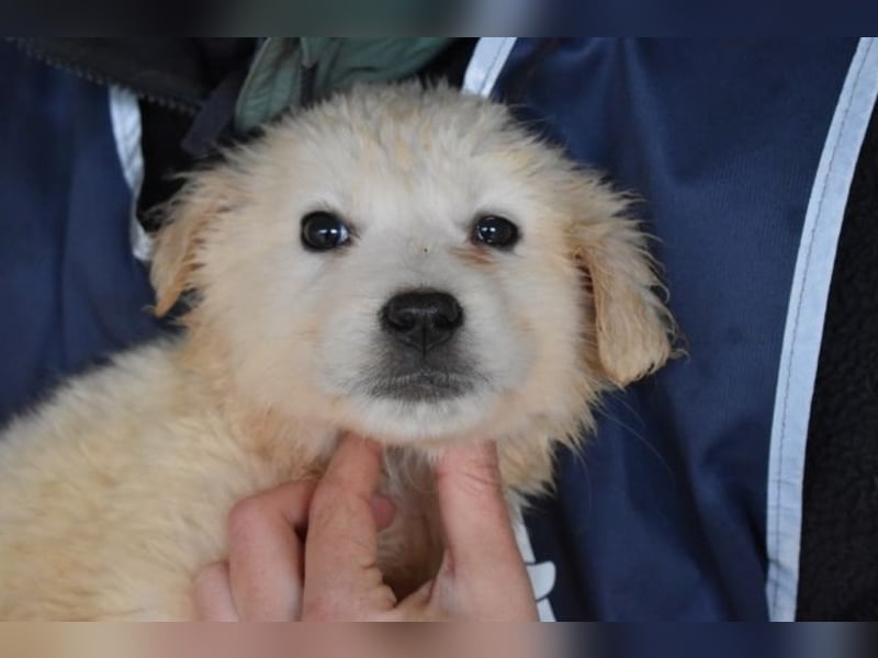 Cilwen - Weiß jemand, was aufpassen eigentlich heißt ?