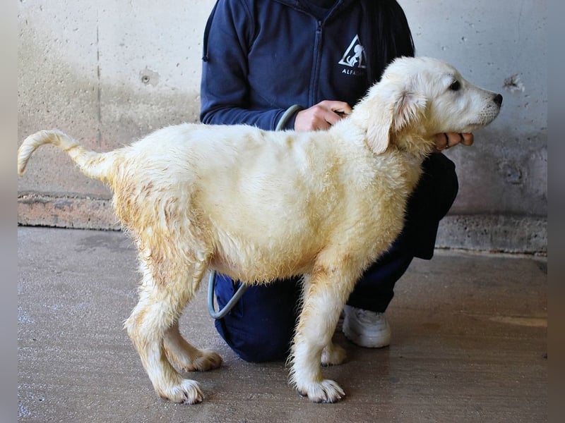 Cilwen - SOS - Weiß jemand, was aufpassen eigentlich heißt ?