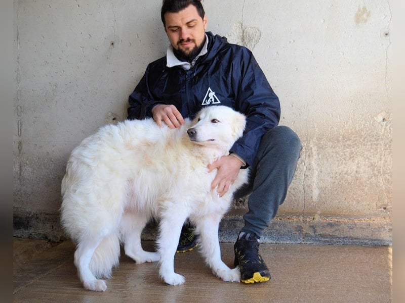 Wania - Zur falschen Zeit am falschen Ort...