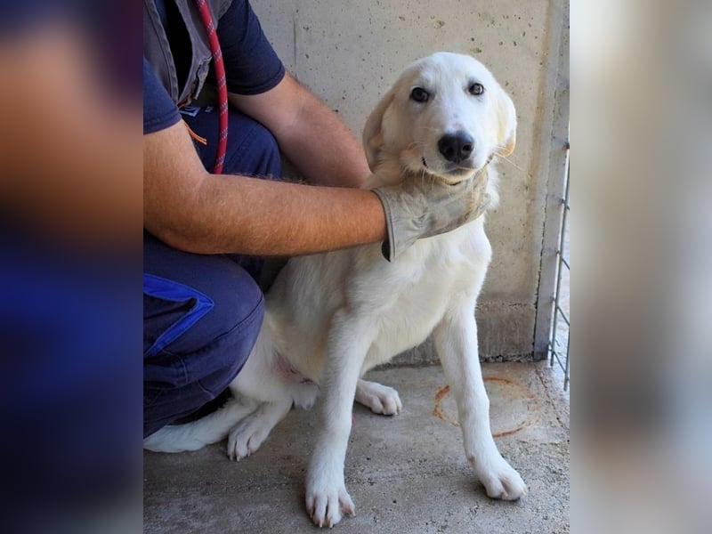 Barry - Vertrauen will gelernt sein.....