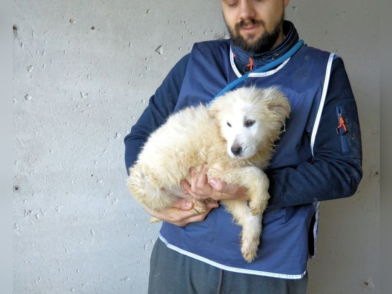 Clyro - SOS - Weiß jemand, was aufpassen eigentlich heißt ?