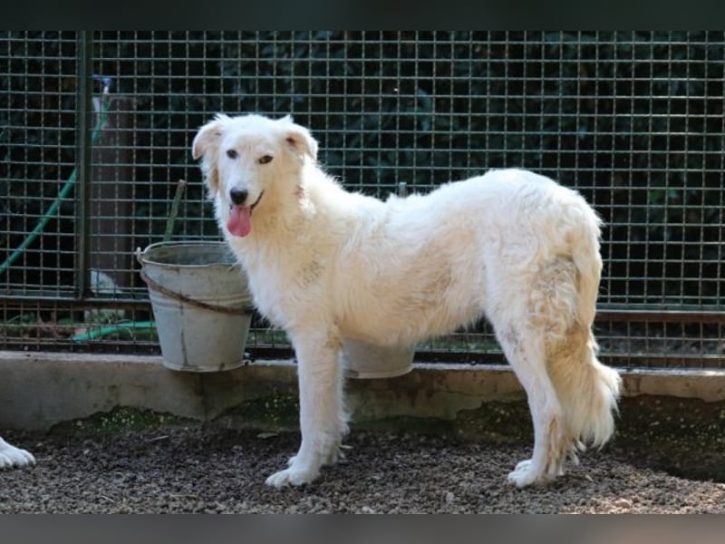 Alida - Unter dem Mantel der Verwahrlosung