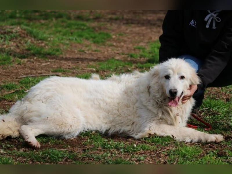 Alida - Unter dem Mantel der Verwahrlosung