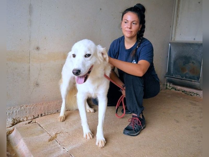 Habriel - weiß, es wird einmal ein Wunder gescheh'n