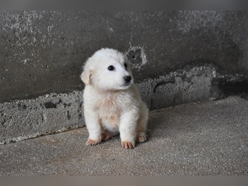 Cilwen - Weiß jemand, was aufpassen eigentlich heißt ?