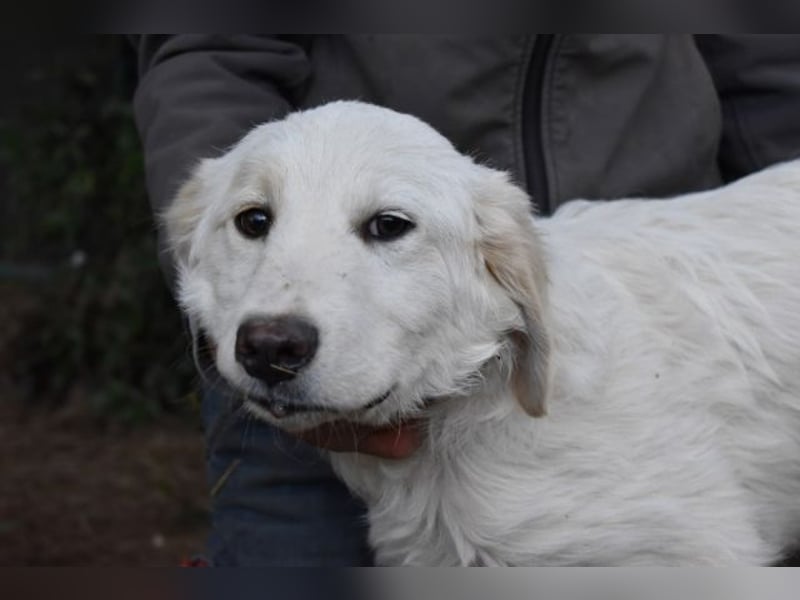 Stobin - So jung und so chancenlos ...