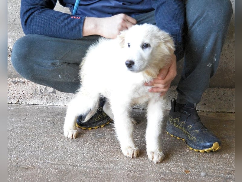 Calira - SOS - Weiß jemand, was aufpassen eigentlich heißt?