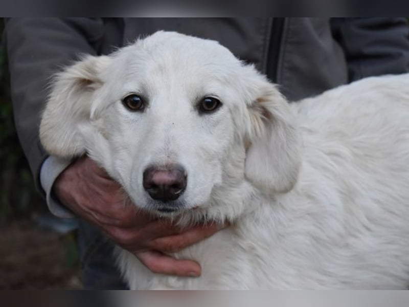 Solitelle - So jung und so chancenlos ...