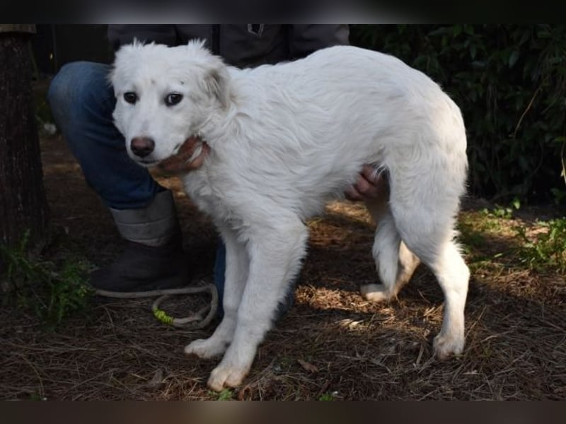 Saabira - So jung und so chancenlos ...