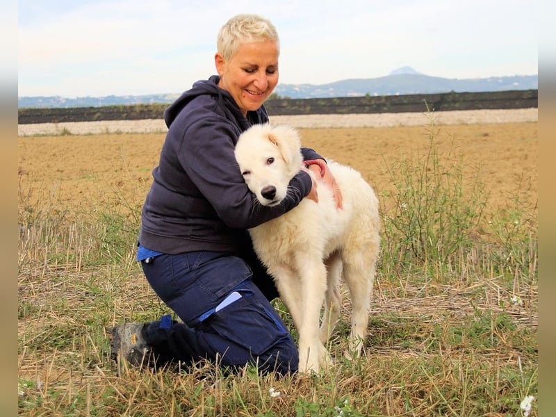 Garth - Kannst du machen, dass es nicht so lange dauert?