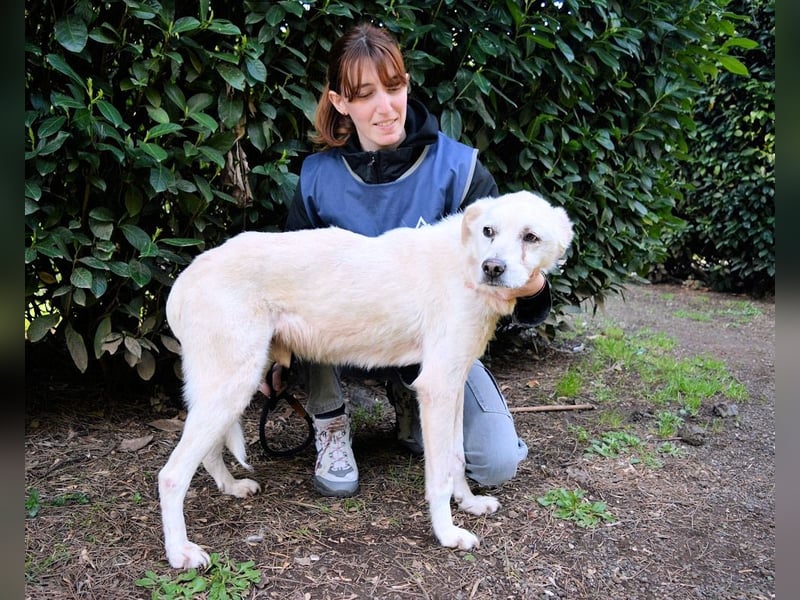 Talete - NOTFALL - Wenn man ehrlich ist