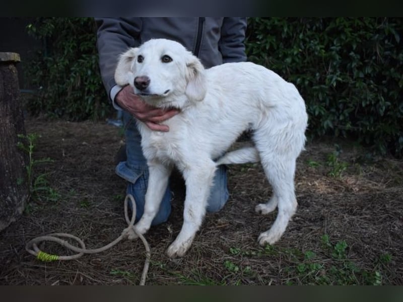 Solitelle - So jung und so chancenlos ...