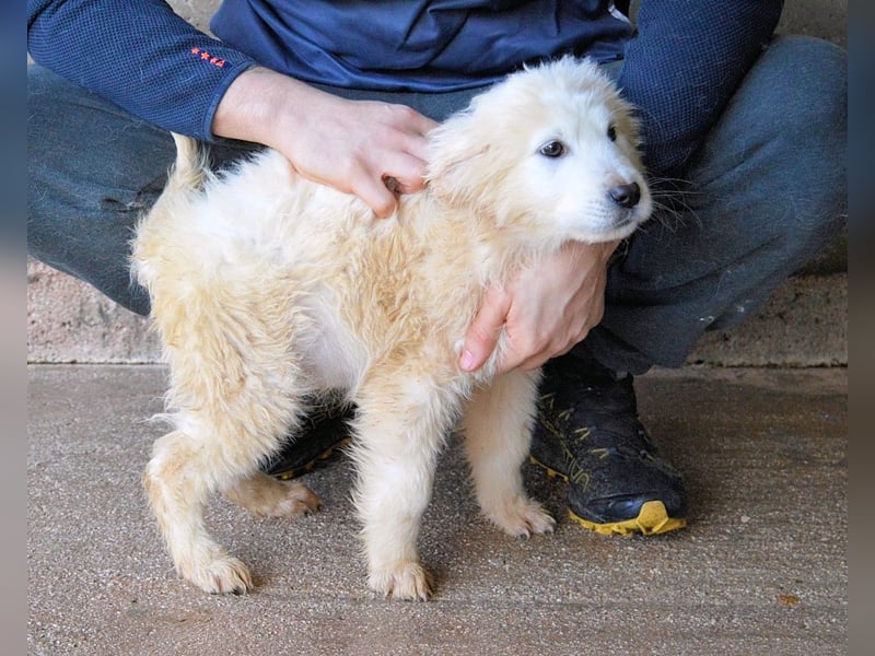 Clyro - SOS - Weiß jemand, was aufpassen eigentlich heißt ?