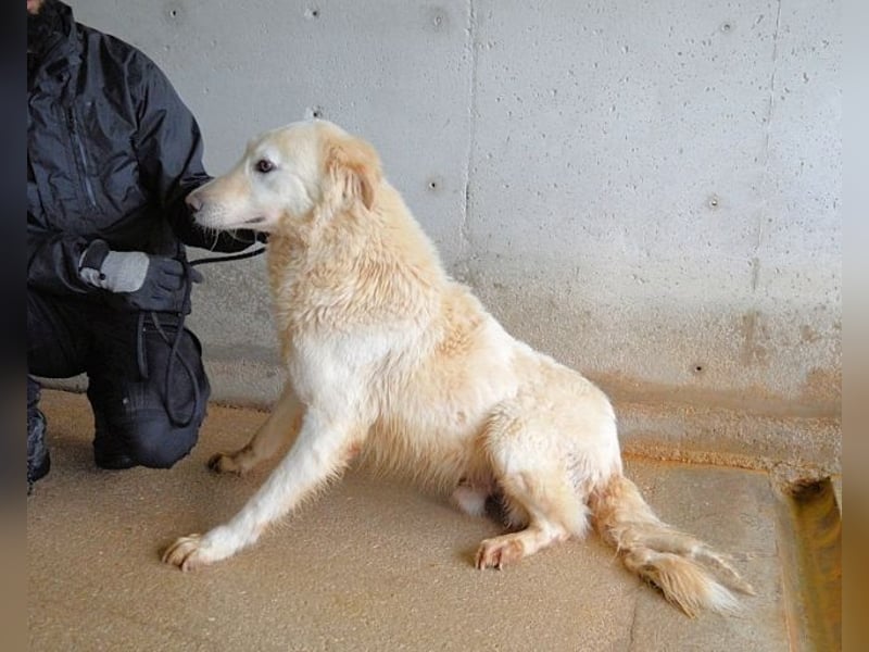 Frieder - Gibt es ein Leben jenseits von Schmerz und Einsamkeit?