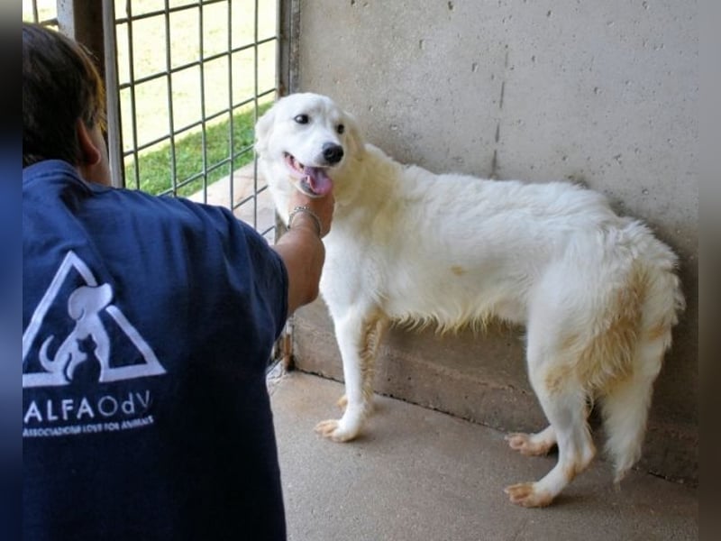 Habriel - weiß, es wird einmal ein Wunder gescheh'n