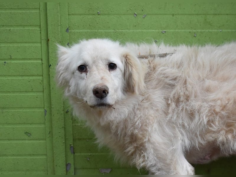 Graciela - NOTFALL - Was hatte sie schon...