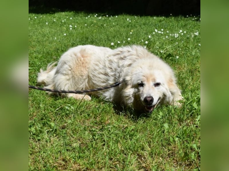 Alida - Unter dem Mantel der Verwahrlosung