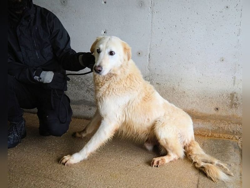 Frieder - Gibt es ein Leben jenseits von Schmerz und Einsamkeit?