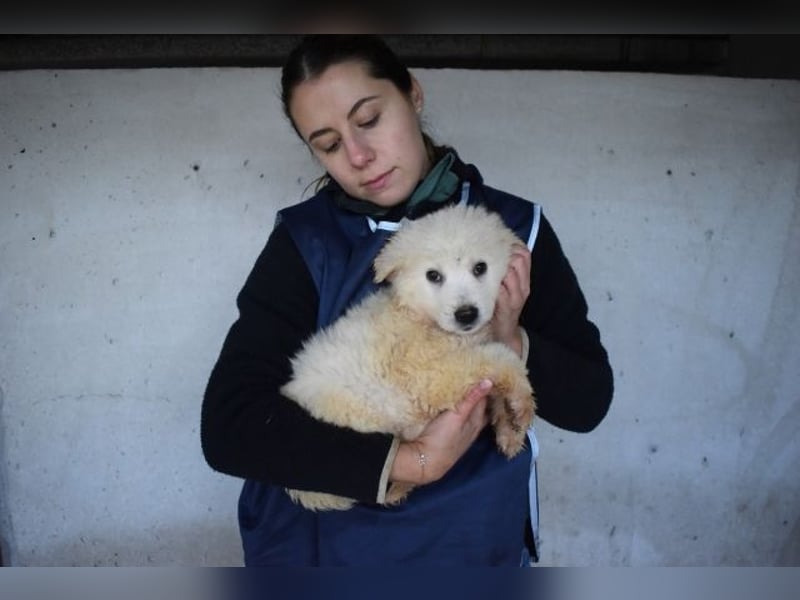 Calira - Weiß jemand, was aufpassen eigentlich heißt?