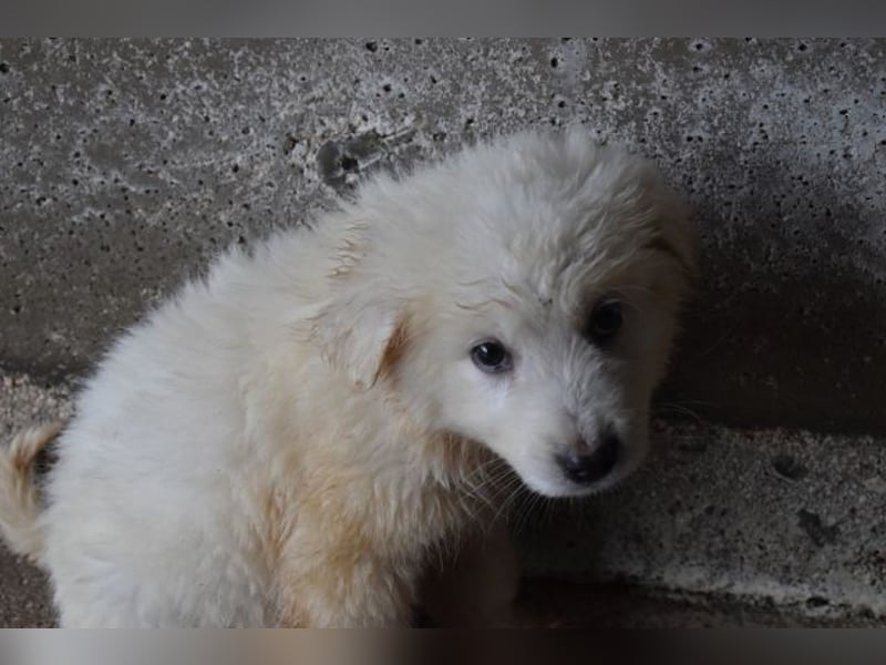 Calira - Weiß jemand, was aufpassen eigentlich heißt?