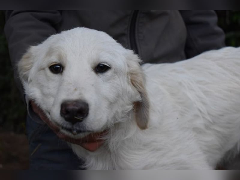 Stobin - So jung und so chancenlos ...