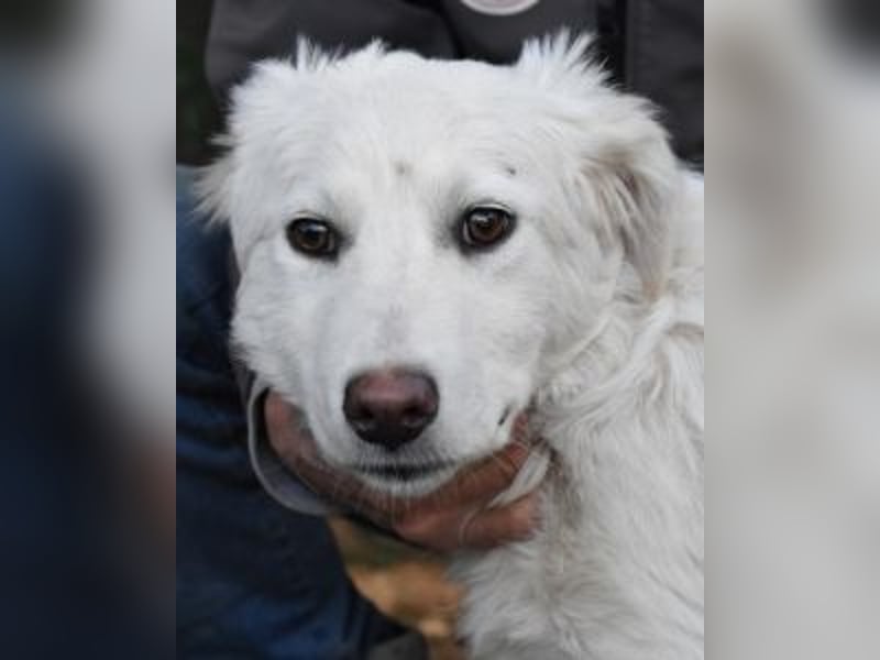 Saabira - So jung und so chancenlos ...