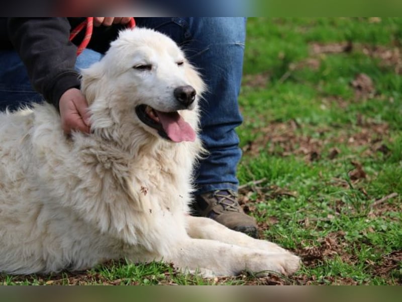 Alida - Unter dem Mantel der Verwahrlosung