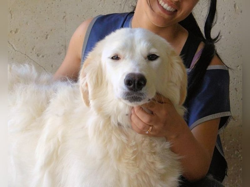 Kandie - Allein im Grau