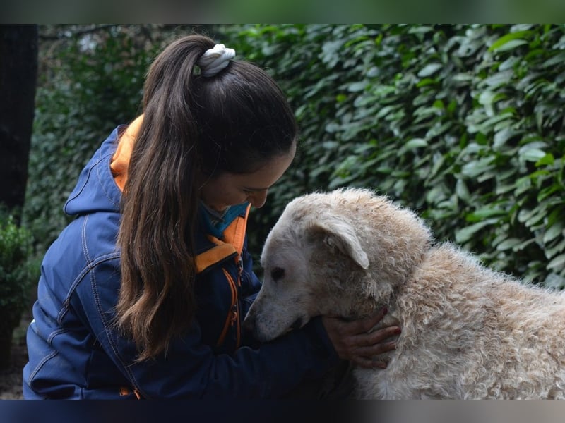 Generosa - Ein Adler bleibt ein Adler...