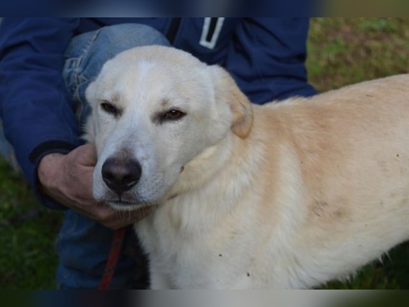 Admeto - Nur ein Wunsch: endlich nach Hause!