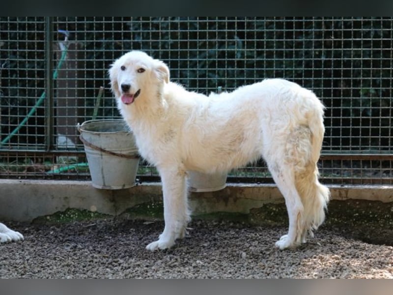 Alida - Unter dem Mantel der Verwahrlosung