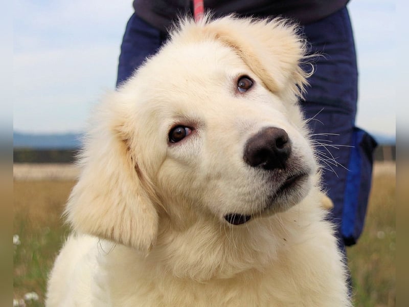 Garth - Kannst du machen, dass es nicht so lange dauert?