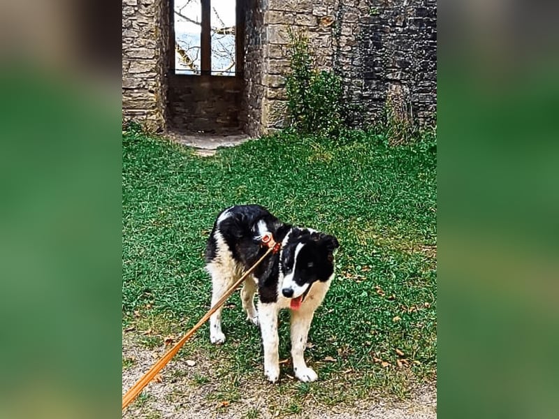 Uriel -  Zeigst du mir den Weg?