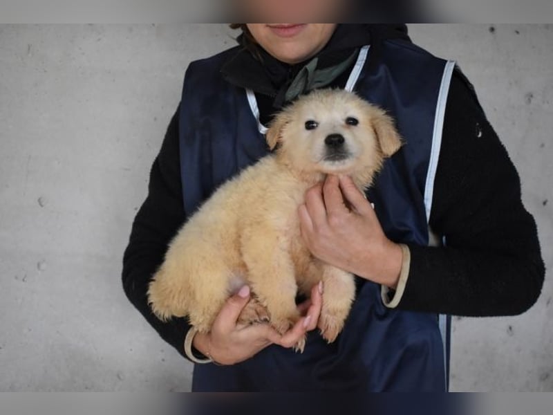 Cilwen - Weiß jemand, was aufpassen eigentlich heißt ?