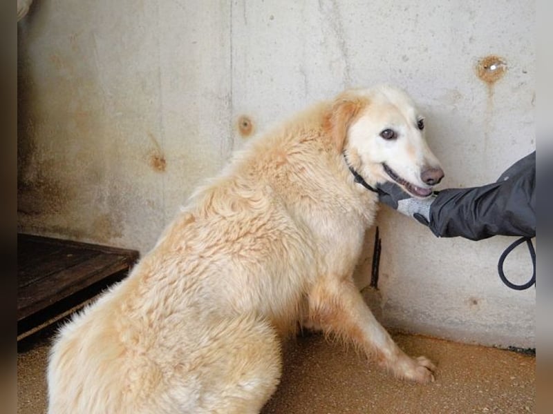 Frieder - Gibt es ein Leben jenseits von Schmerz und Einsamkeit?