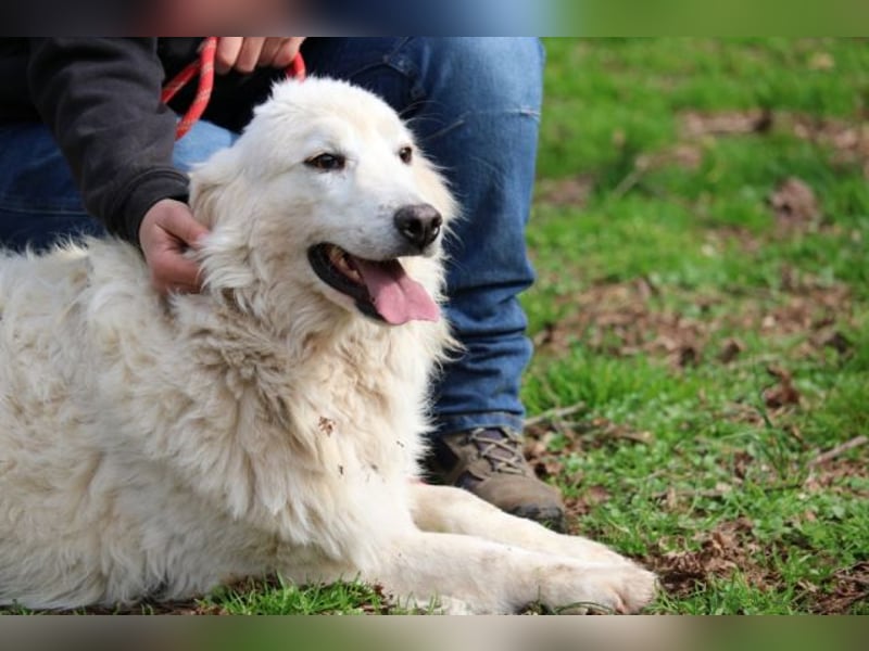 Alida - Unter dem Mantel der Verwahrlosung