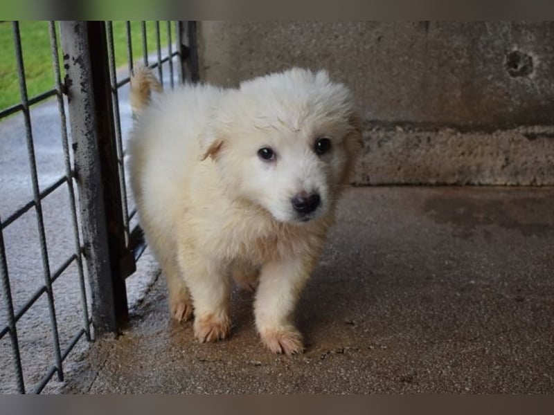 Calira - Weiß jemand, was aufpassen eigentlich heißt?