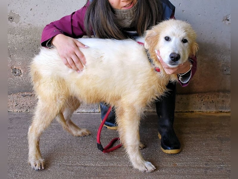 Cairox - SOS - Weiß jemand, was aufpassen eigentlich heißt?