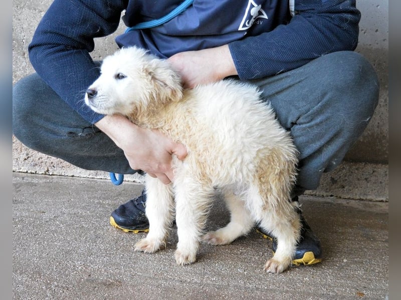 Clyro - SOS - Weiß jemand, was aufpassen eigentlich heißt ?