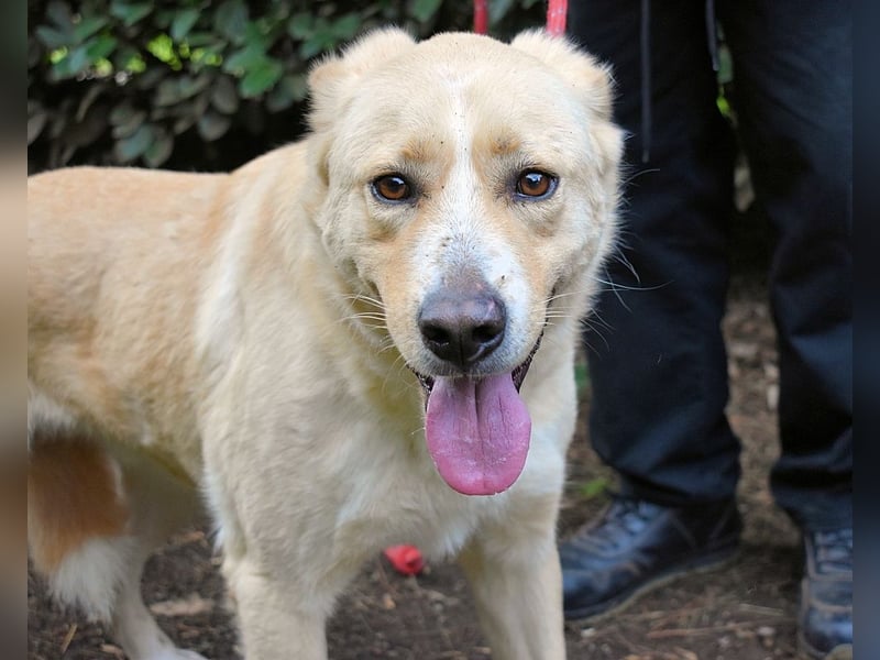 Admeto - Nur ein Wunsch: endlich nach Hause!