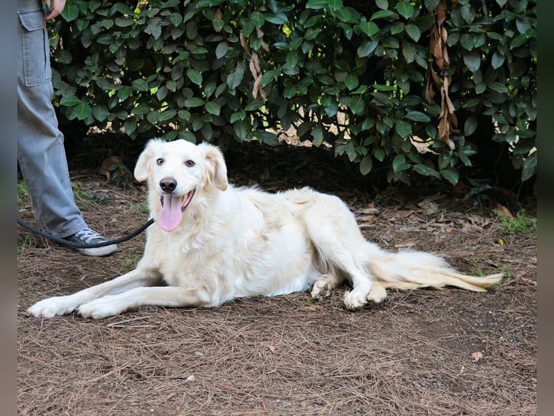 Hadeus - Wovon träumst du?