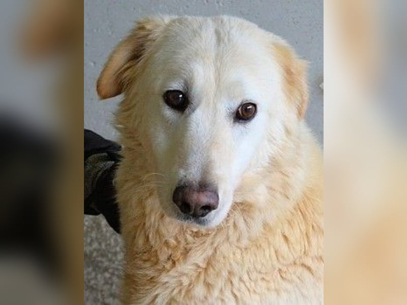 Frieder - Gibt es ein Leben jenseits von Schmerz und Einsamkeit?