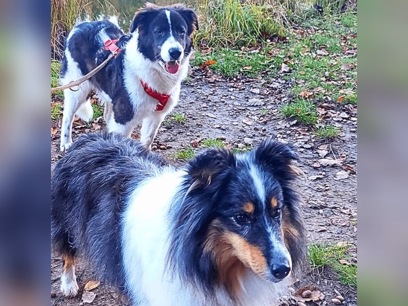 Uriel -  Zeigst du mir den Weg?