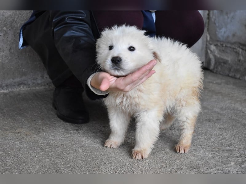 Clyro - SOS - Weiß jemand, was aufpassen eigentlich heißt ?