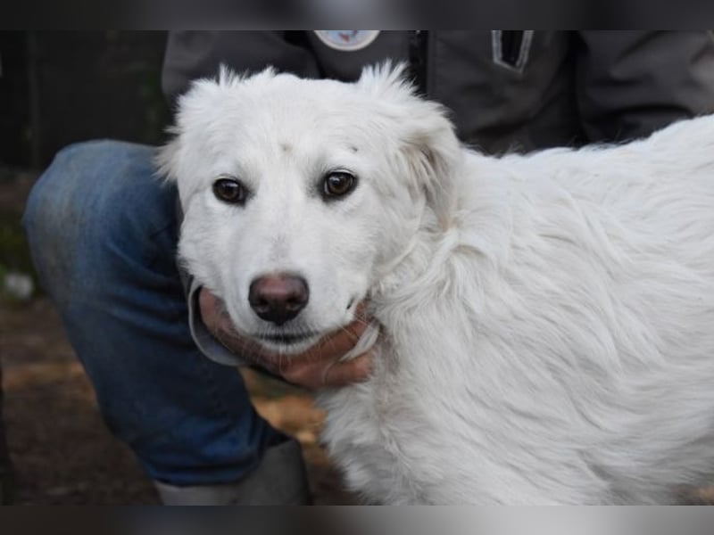 Saabira - So jung und so chancenlos ...