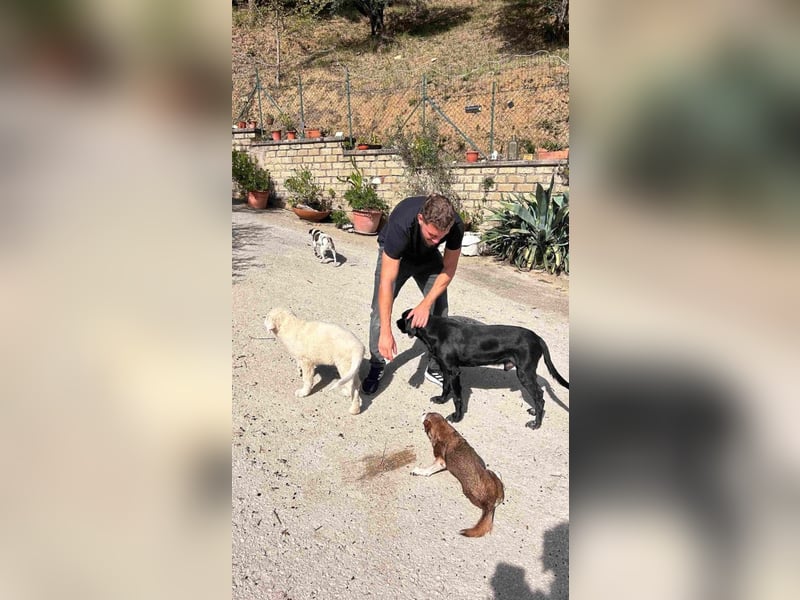 Fiete - der vergessene Hundejunge